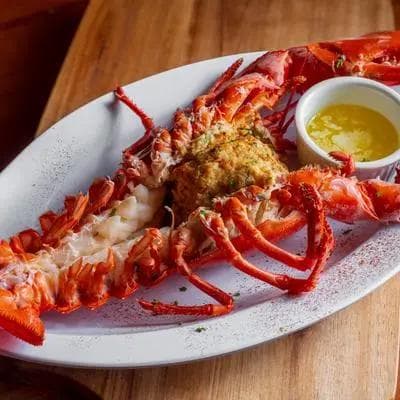 Lobster